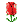 �ͻ�
