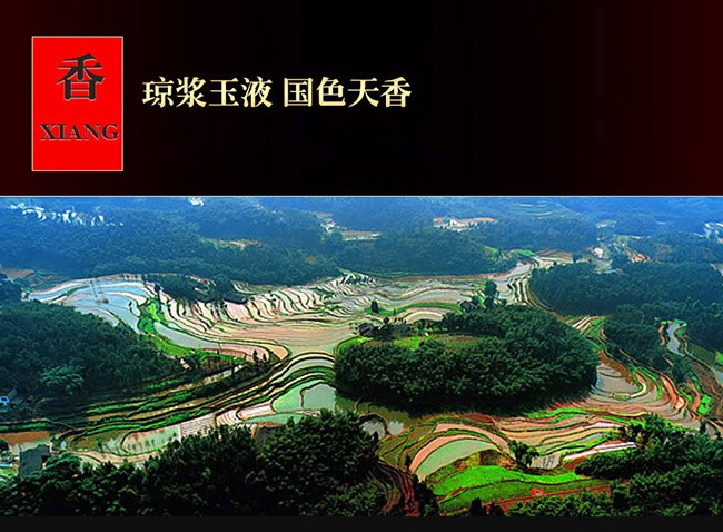 恭喜发财酒-珍酿